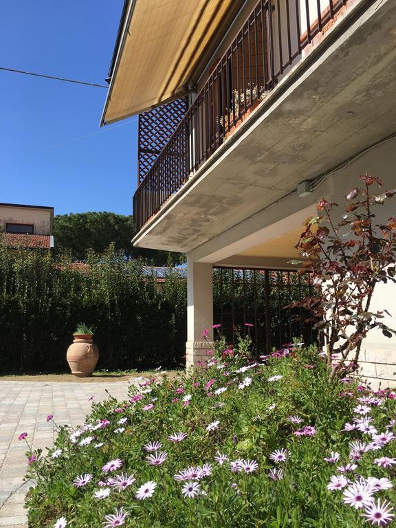 Apartmán La Casa Di Nila Pisa Exteriér fotografie